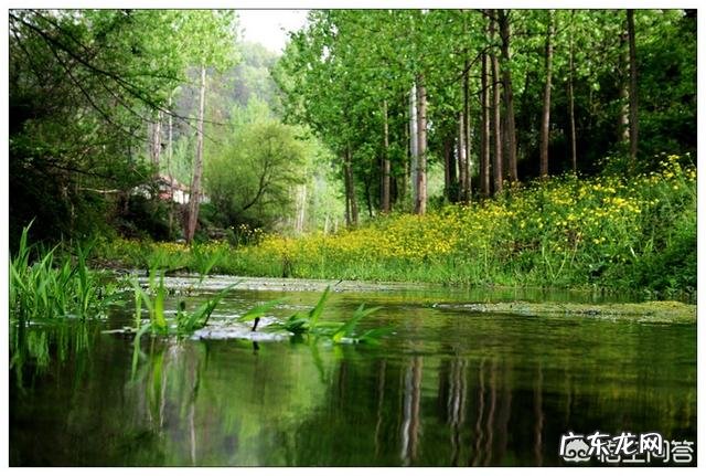 有哪些描写春天的诗句美文?