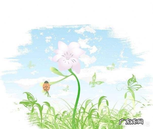 有哪些描写春天的诗句美文？