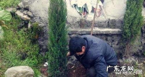 在农村,清明节都有什么习俗?