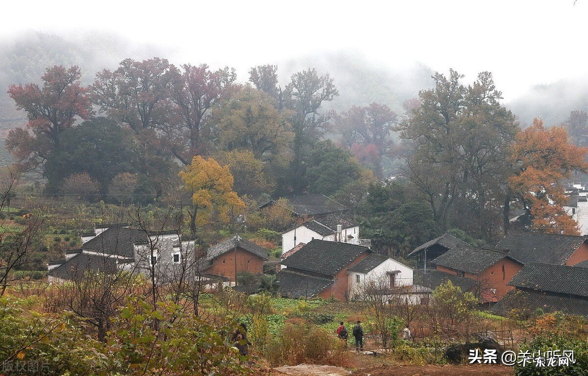 建房俗语:“房子不建鸭嘴田”,鸭嘴田是啥地形?为何不能建房? 湾埋填盖房子风水好吗