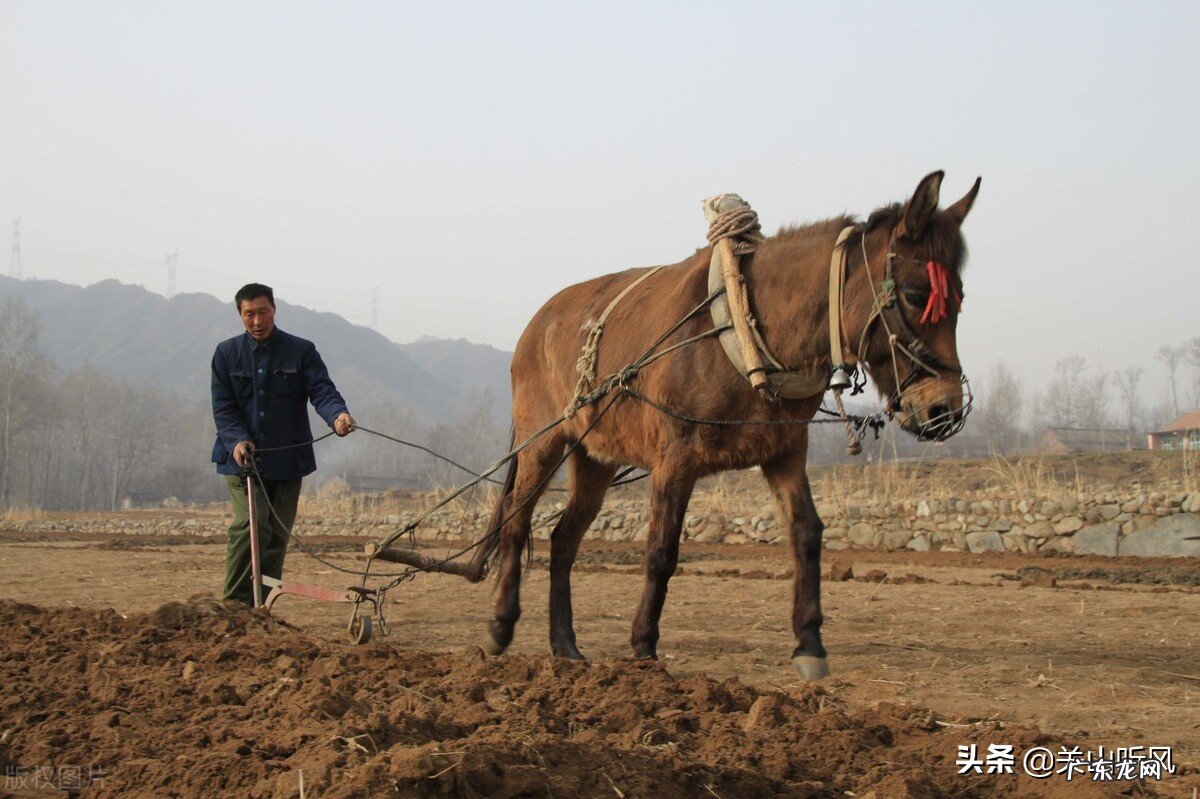 建房俗语:“房子不建鸭嘴田”,鸭嘴田是啥地形?为何不能建房? 湾埋填盖房子风水好吗