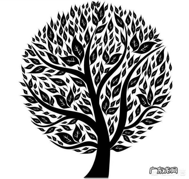 炒股怎么操作,详细的流程是怎样的,有哪些技巧?