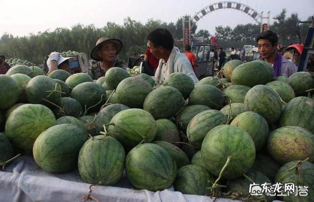 昨天买了个西瓜,大概20斤,50元没了,都不敢吃了,大家住在什么地方?西瓜多少钱?