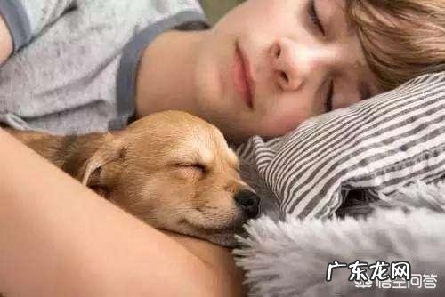 看狗狗的睡姿,就能知道它的性格吗?为什么?