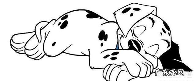 看狗狗的睡姿，就能知道它的性格吗？为什么？
