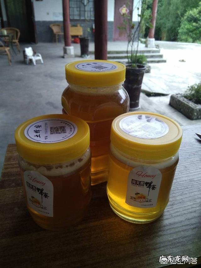 蜜蜂会选择哪些花采蜜？