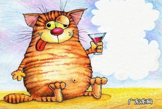 喝酒的危害有哪些?