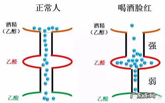 喝酒的危害有哪些?