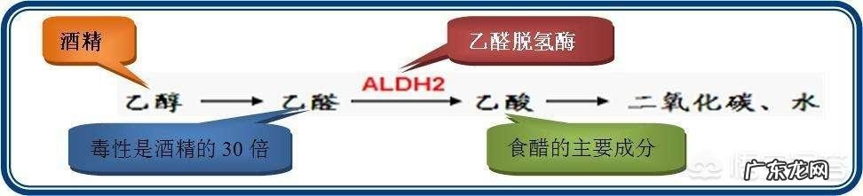 喝酒的危害有哪些?