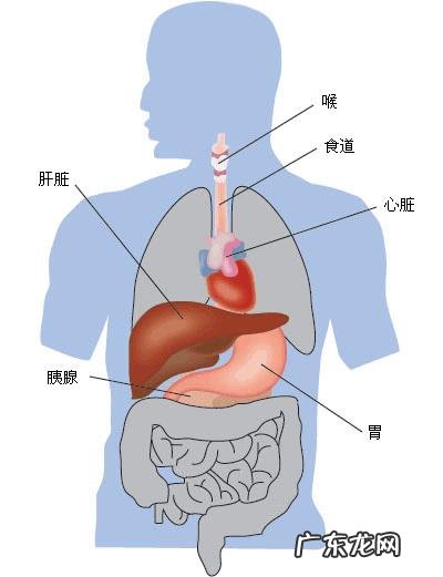 喝酒的危害有哪些?
