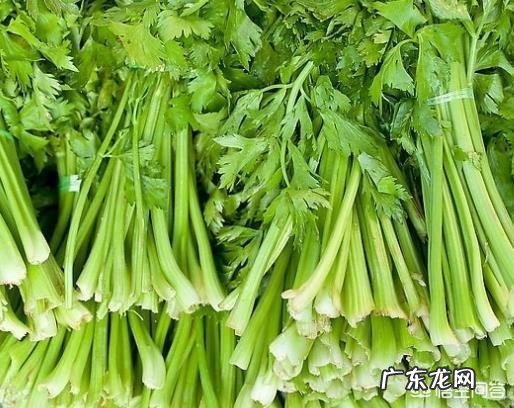 芹菜有什么营养价值？