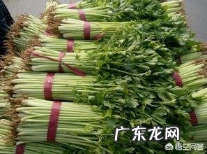 芹菜有什么营养价值?