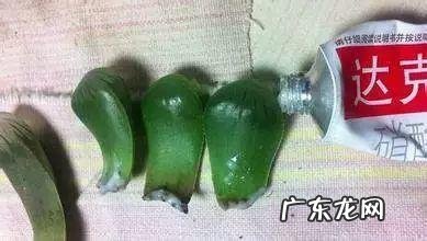 达克宁软膏的作用说明书 达克宁软膏的作用与功效