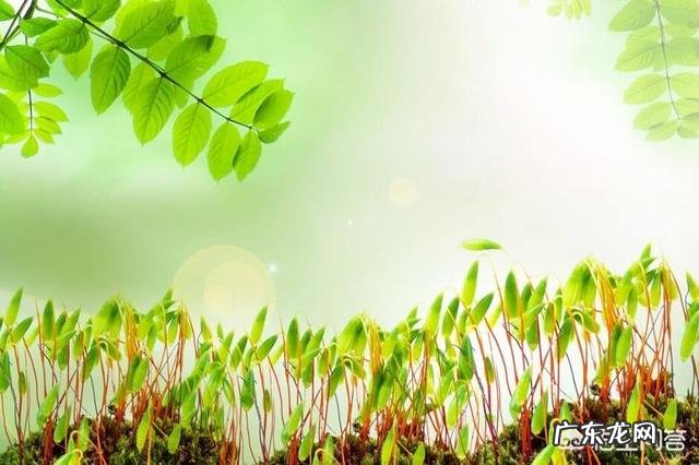 蹲久了站起来,眼前一黑头好晕,这是怎么了?