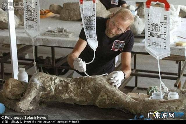 庞贝古城的人是怎么被冻上的？