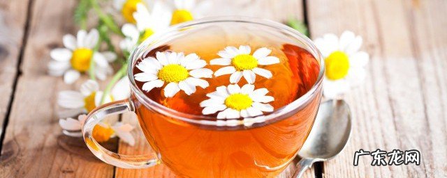 菊花比喻什么样的人