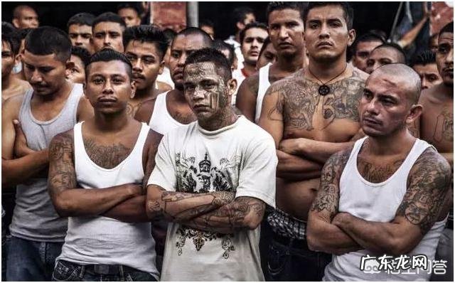 人类世界历史上有哪些令人毛骨悚然的真实案件?