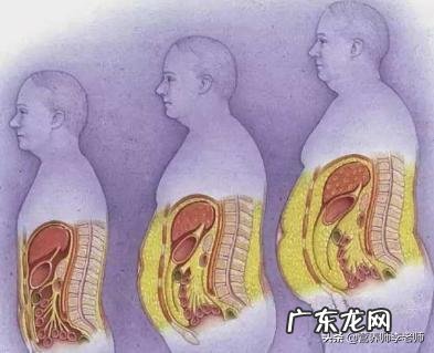 如何快速将脂肪减掉?