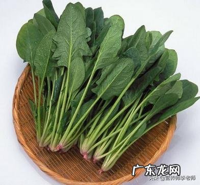 如何快速将脂肪减掉?