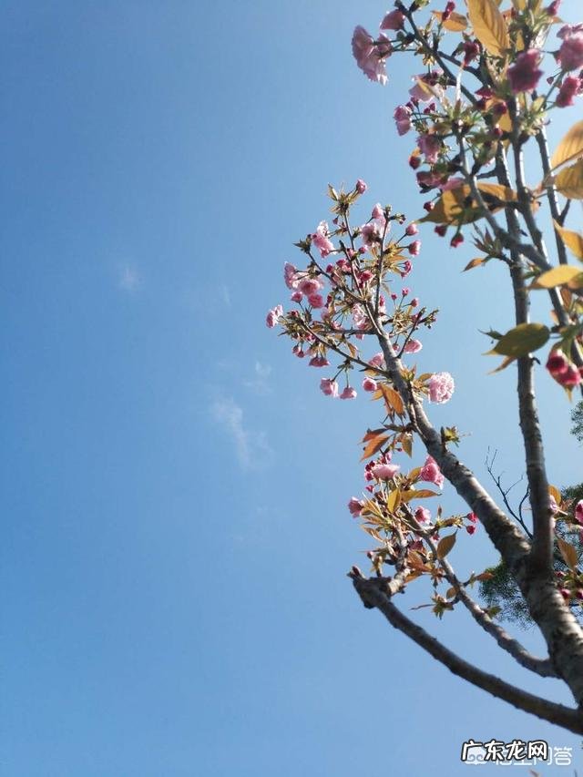 如何让一个陌生女孩能够放开心的聊天?