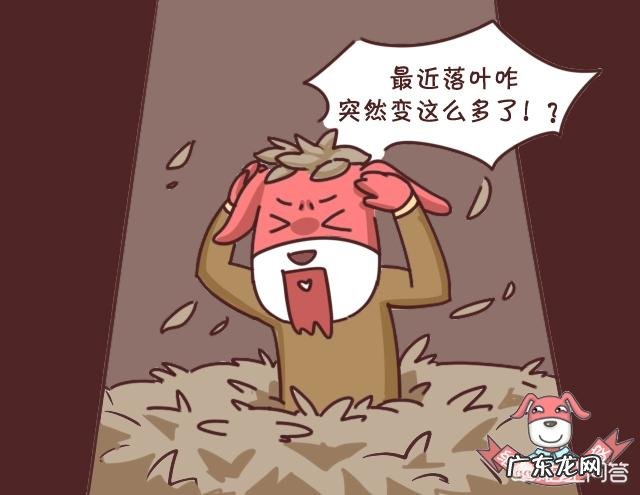 痤疮是什么样的?如何产生的?