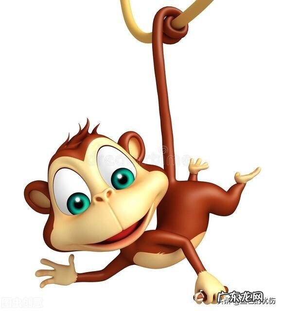 属猴的人最怕遇到什么样的人？