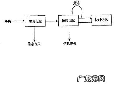 怎么背书最有效率?