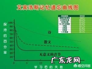 怎么背书最有效率?