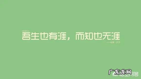 怎么背书最有效率?