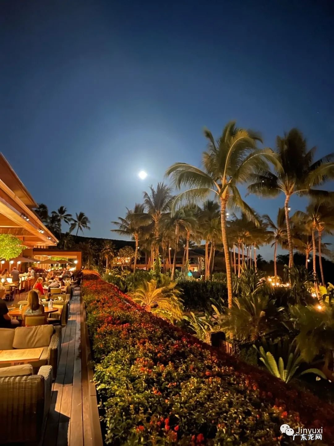 元宵节一篇日记 元宵节的日记