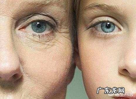 人老了为什么眼角,额头有皱纹,是脸小了还是皮肤松懈了?