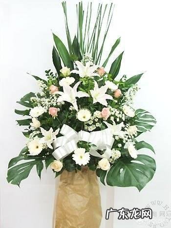 清明节到了,你是如何纪念先人的?