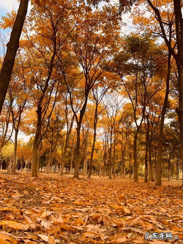 辞职理由怎么说最好?