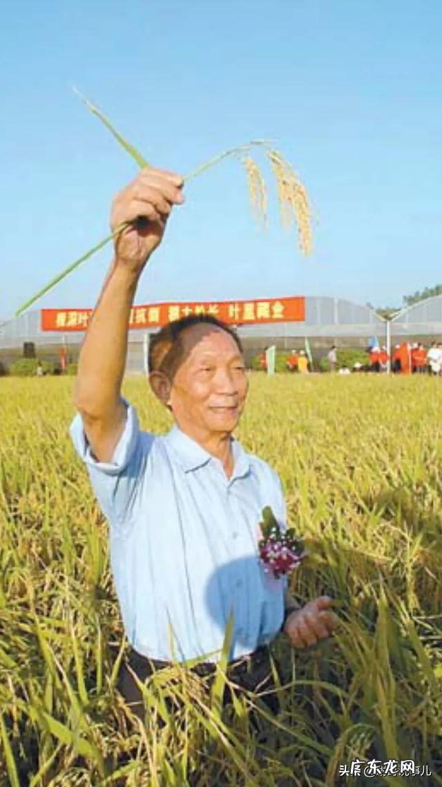 你怎么看87岁的袁隆平在社交网络刷屏是因为老先生飚英文向世界介绍超级水稻?