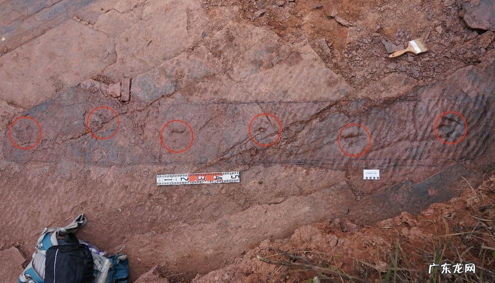 远古宝藏的线索在哪里可以得到