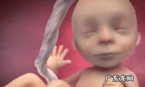 五个月胎儿有多大、多重？