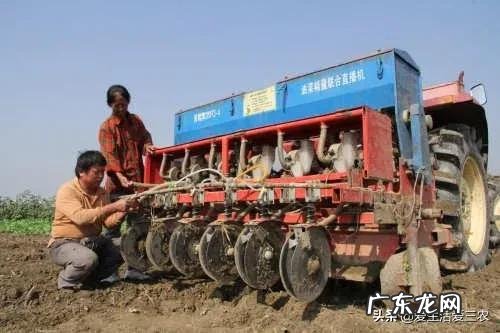 怎样在农村发展致富 农村致富项目