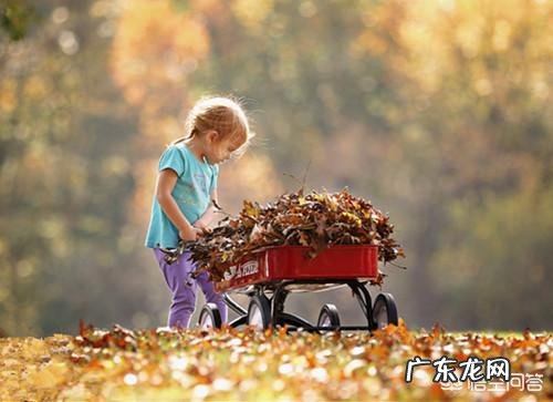白露时节应该怎么注意养生?