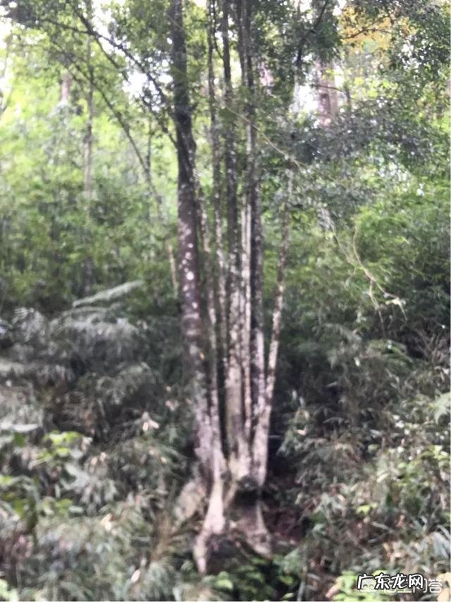 在工作中什么才是结果?