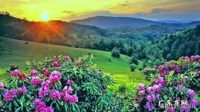 90后的我们还年轻吗?敢晒晒你的照片吗?