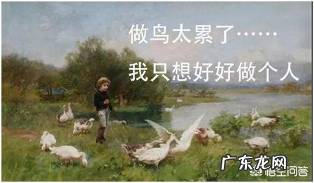 射频美容仪可以祛皱吗?