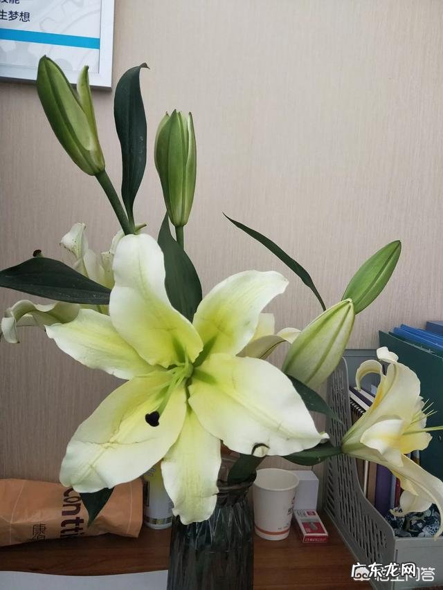 如果你有了前世的记忆，你是为前世活还是为今世活？