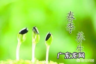 为什么有些现代人越来越注重养生?