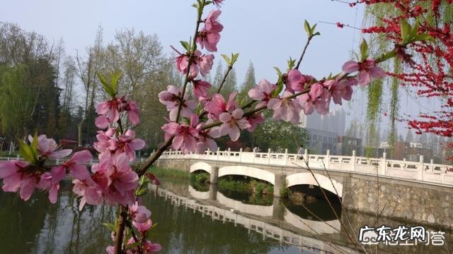 为什么有些现代人越来越注重养生?