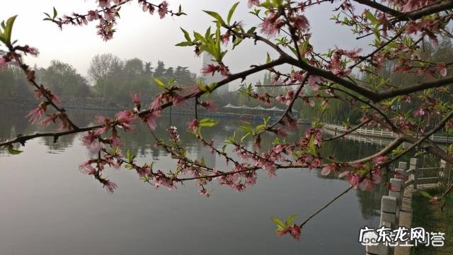 为什么有些现代人越来越注重养生?