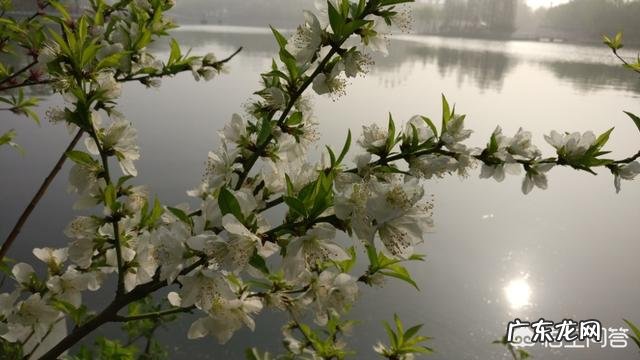 为什么有些现代人越来越注重养生?