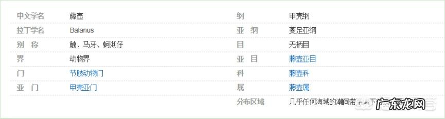 为何很多海洋生物最讨厌的生物是鹅颈藤壶？