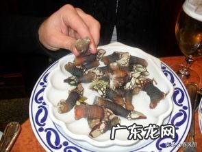 为何很多海洋生物最讨厌的生物是鹅颈藤壶？