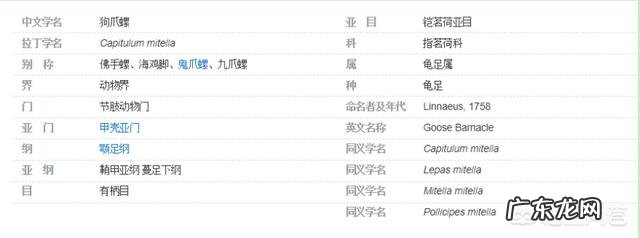 为何很多海洋生物最讨厌的生物是鹅颈藤壶？