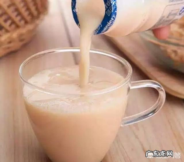 酸奶中的微生物及其作用有哪些?